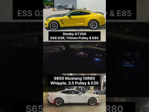 ESS "G3R" Supercharged Shelby GT350 🆚 Whipple Supercharged S650 Mustang GT