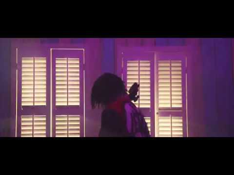 IceBirds - I Got It (Official Video)