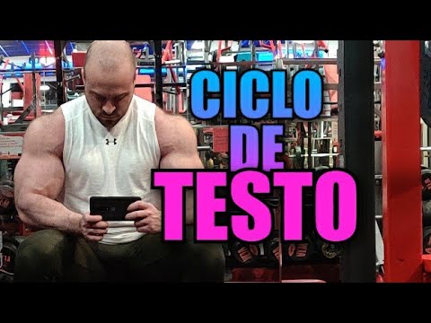 CICLO DE TESTO, EL MEJOR PARA PRINCIPIANTES