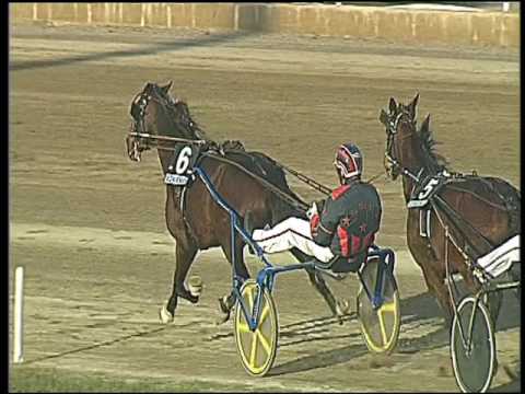 Trotto 17/02/2017 - 4ª corsa