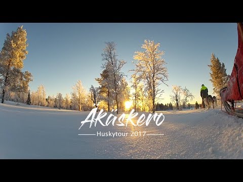 Huskytour Finland - Äkäskero