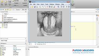 Download the video "LBP Based Segmentation of Defocus Blur using Matlab"