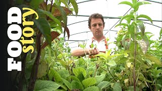 Thumbnail del capítulo