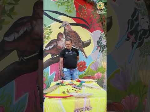 🎣 En la Playa de Betulia también se pesca esperanza Con las manos curtidas por el río.