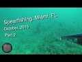 Подводная охота у берегов Маями , Октябрь 2015 часть 2 