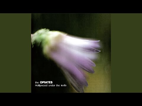 I'm Not Simone Choule