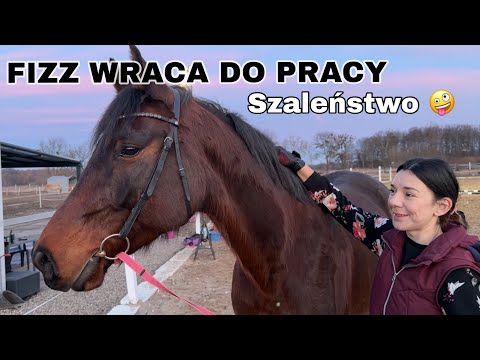 A new, SOMEWHAT crazy beginning 😂🙈