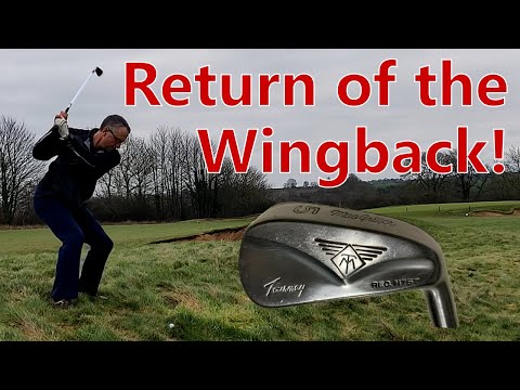 MacGregor Tourney MT "Wingback" irons.  #golf