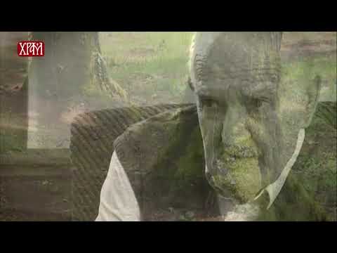 Боро Капетановић - Јасеновац