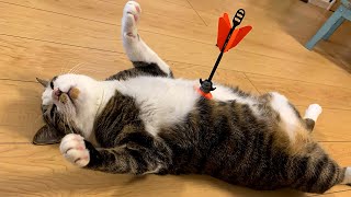 Overdramatic Pets That Will Make You Smile