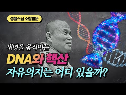 생명은 자유의지로 움직일까? 물질과 정신의 관계  [성철스님 소참법문]