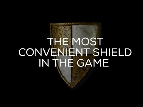 THIS Shield Is A QUALITY OF LIFE Upgrade... (Phoenix Runeword)