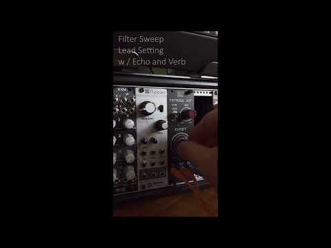 Eurorack Shorts Demo - Wild Sync Fat Moog VCF / Filter