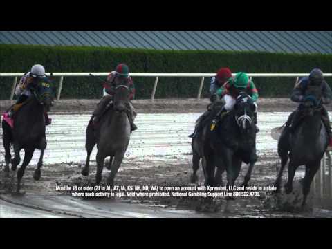 Gulfstream Park Replay Show | April 1, 2016