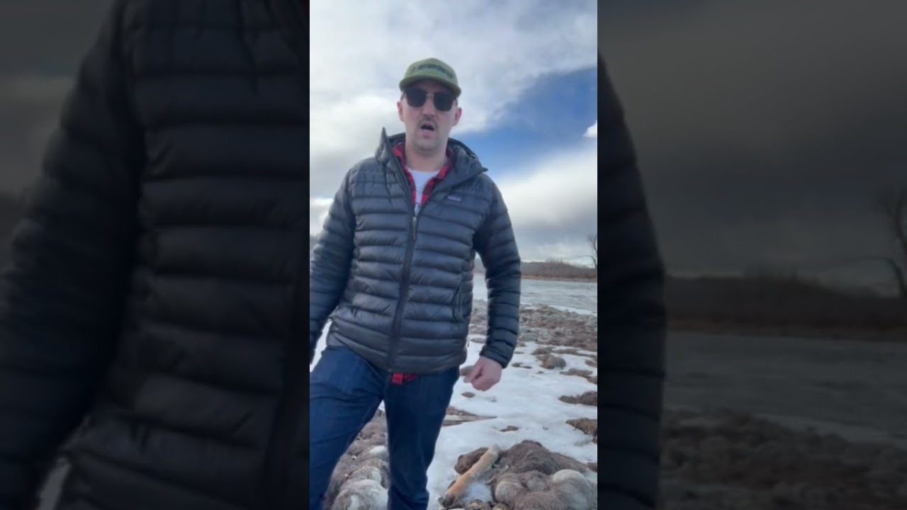 What's Included on a Bow River Float Trip