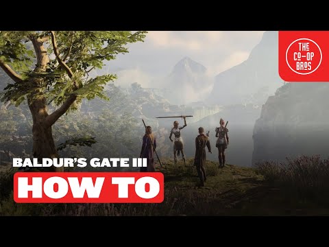 Baldur's Gate 3 | How To Play Co-Op