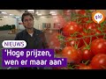 Prijzen van groente rijzen de pan uit