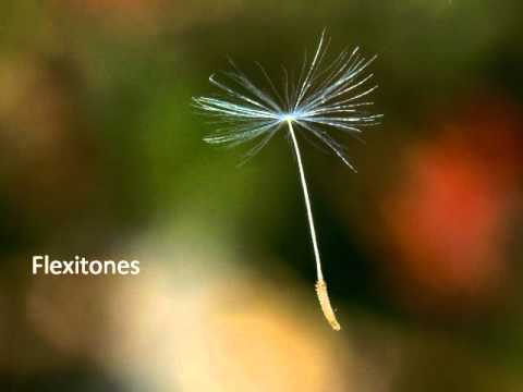 Flexitones / A Little Love