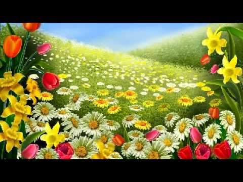 Raghza feat. PK - Kevad