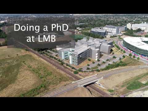Doing a PhD at the LMB