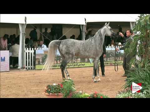 Menton 2016 - Class 5