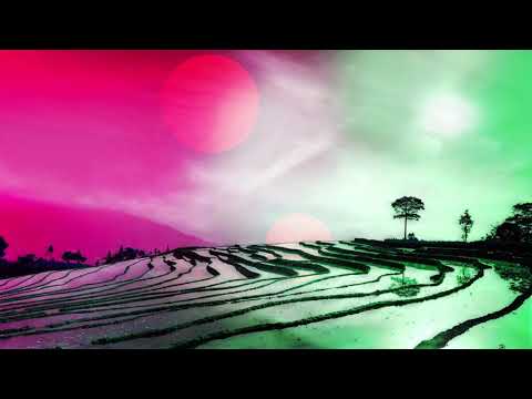 Le Wanski - La Dune Aux Épaves