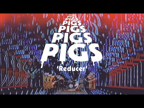 Pigs Pigs Pigs Pigs Pigs Pigs Pigs – Reducer