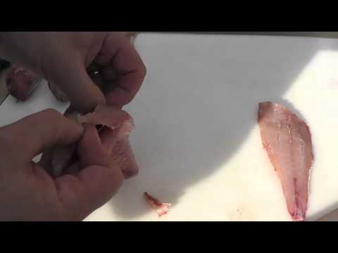 Passionate About Fish - How to prepare goatfish & red mullet