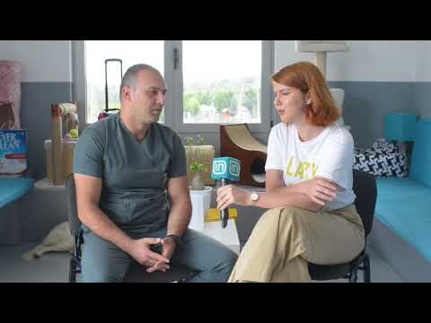 Peshqit dhe Guinea Piggies në Life is Better with Friends 13/06/2018 | IN TV Albania