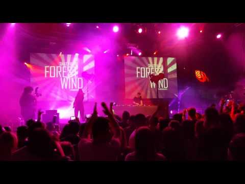 Snatt & Vix - Forest Wind