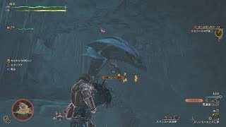 【ヒラバミの狩猟】おぎちょんの「モンスターハンターワイルズ」 #8