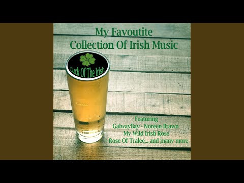 My Love Is Like A Red Red Rose