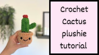 Crochet cactus beginner tutorial