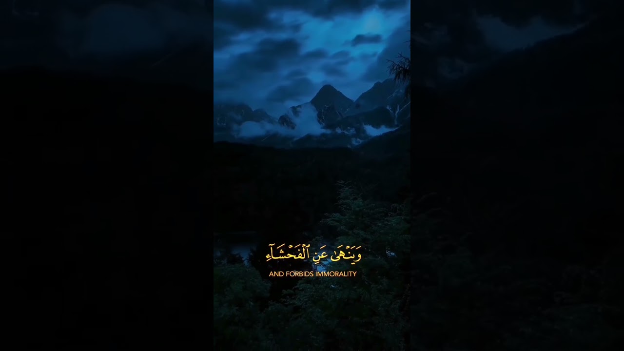 Pin on Pins by you #quran