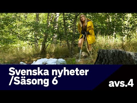 Svenska nyheter - Johanna Wagrell om Systembolaget