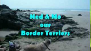 Wee Willie Harris - Love Bug Crawl