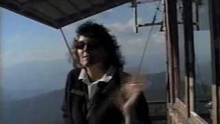 "Sociable Hermits: A Story of Lookouts" by Matthew Geer