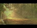 Wanda Jackson - What Am I Living For