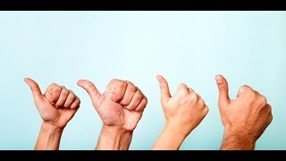 Quando usar o "all" e "whole"?