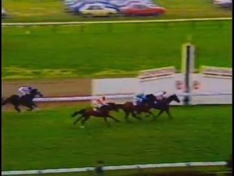 1984  VRC Craiglee Stakes