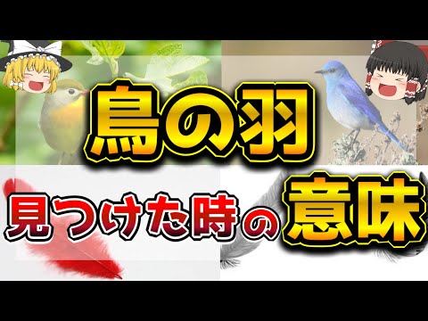 鳥 風水 意味