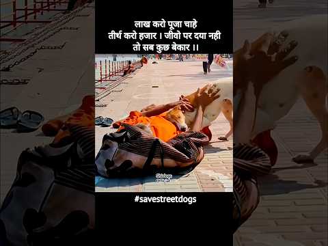 Save Street Dogs🥺 | #savedogs #dogshorts #savedelhincrdogs #viral #streetdog #dog #doglife #dogs