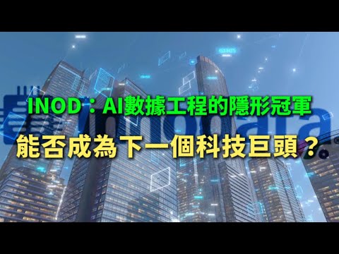 【数据公司Innodata】AI时代的石油，数据公司Innodata深度分析！#PLTR #WRD #NVDA #AMD #NBIS#TSLA.....