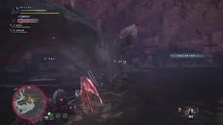 モンハンワールド　　ゴチニキ　エリーチカ