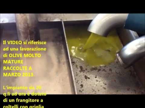 www.olivaservice.it: Frantoio a freddo 2.000 kg di olive ad ora