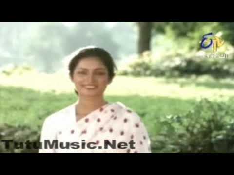 LUHA PACHE SAD MOVIE