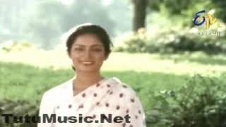 LUHA PACHE SAD MOVIE