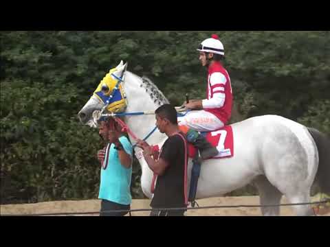 Dicky Brummel vs Verdugo Dash -