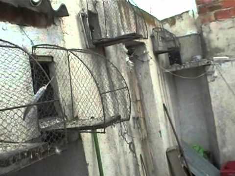 domadelao Homenaje a... El Coca