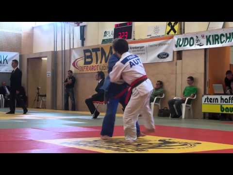 LM O.Ö. 2011 U17: Fidler - Leonfellner